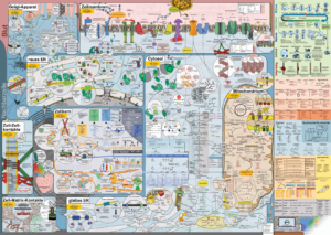 MeCell Cell Map